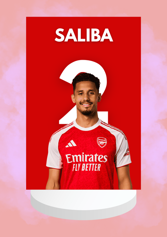 Arsenal Men Print Bundle